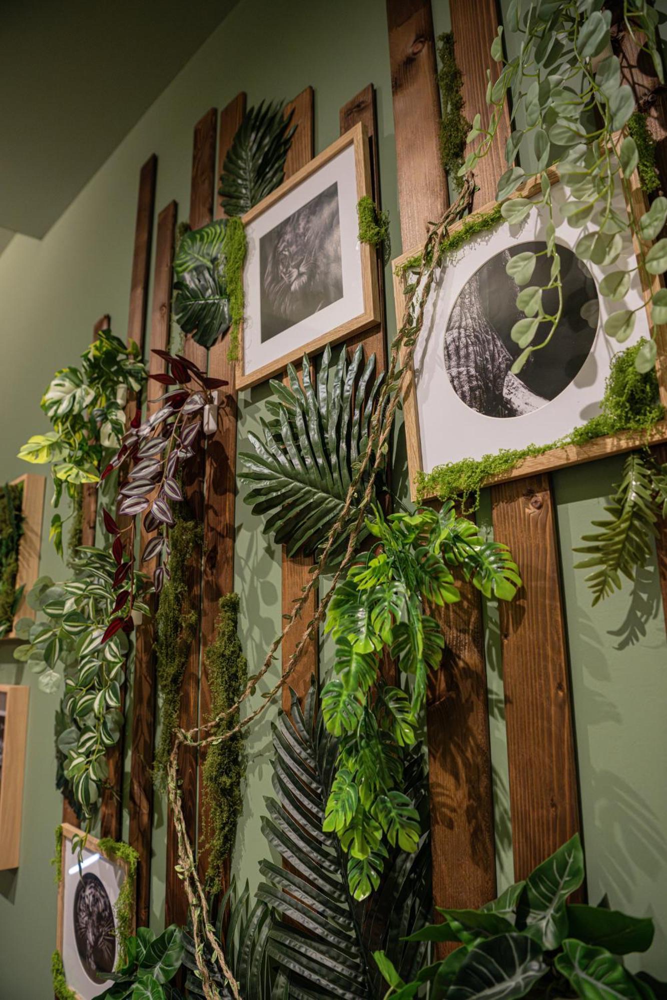 Secret Jungle - Love Room By Prim0 C0Nciergerie Royat Buitenkant foto